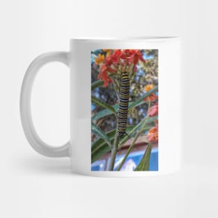 Climbing to the top Mug